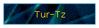 Turkish Airlines